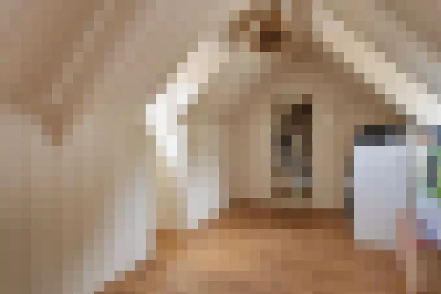 Zeildijk 2 Hulst thumbnail 22