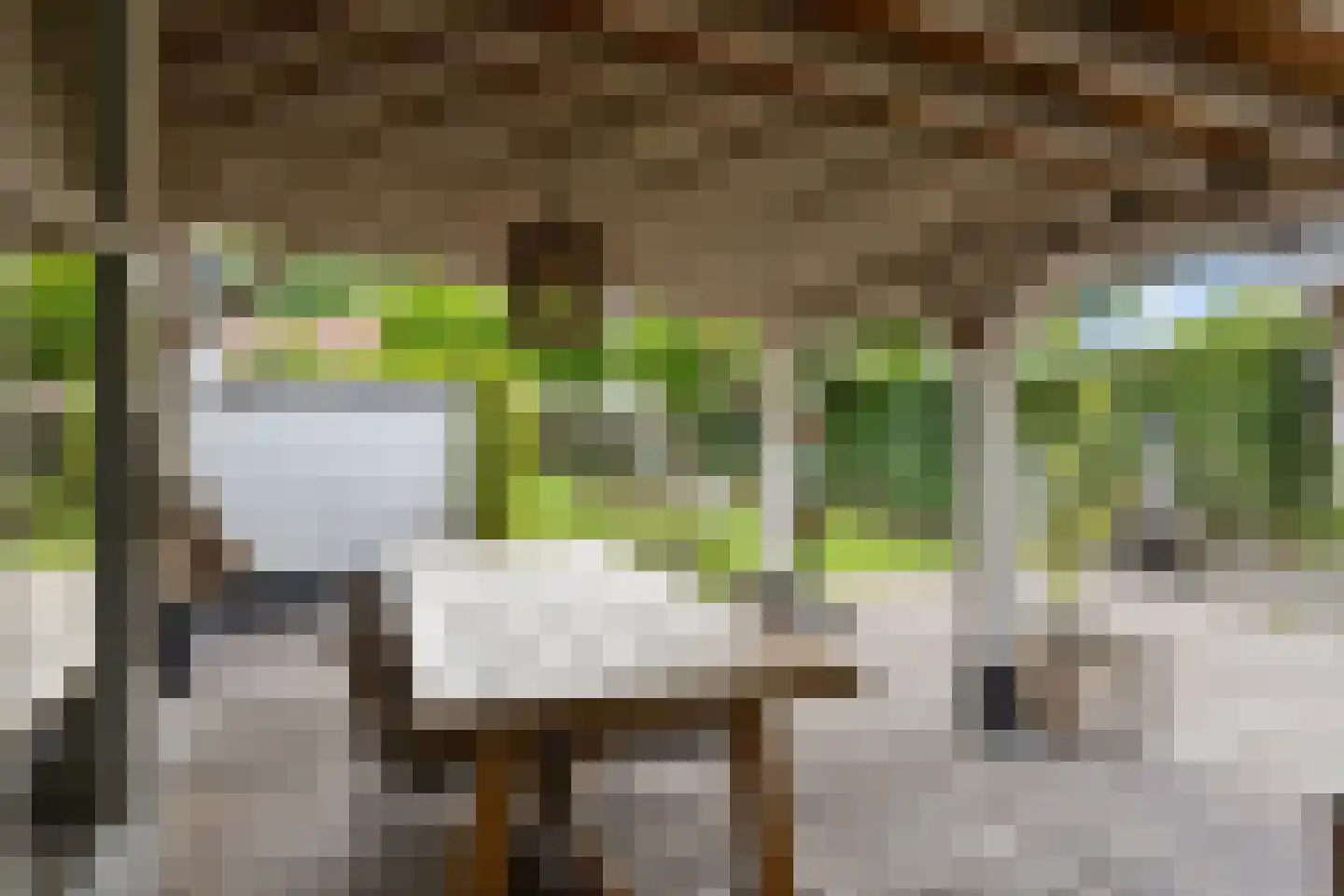 Zeildijk 2 Hulst thumbnail 24