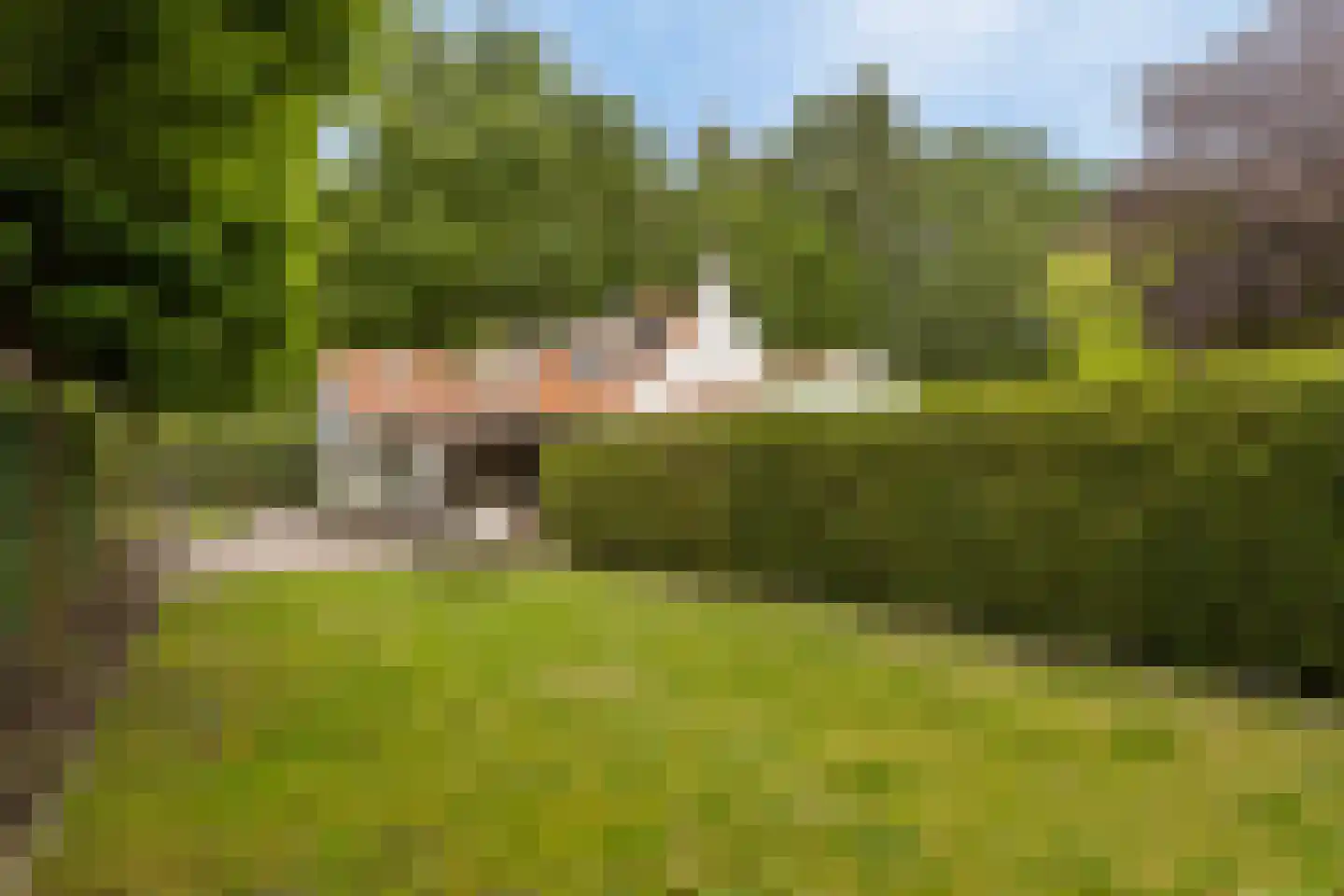 Zeildijk 2 Hulst thumbnail 27