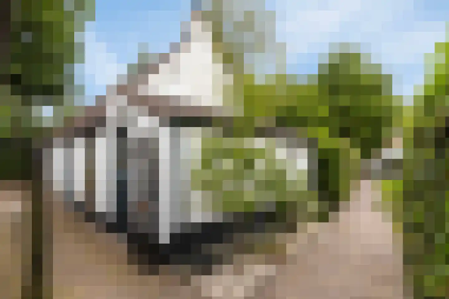 Zeildijk 2 Hulst thumbnail 31