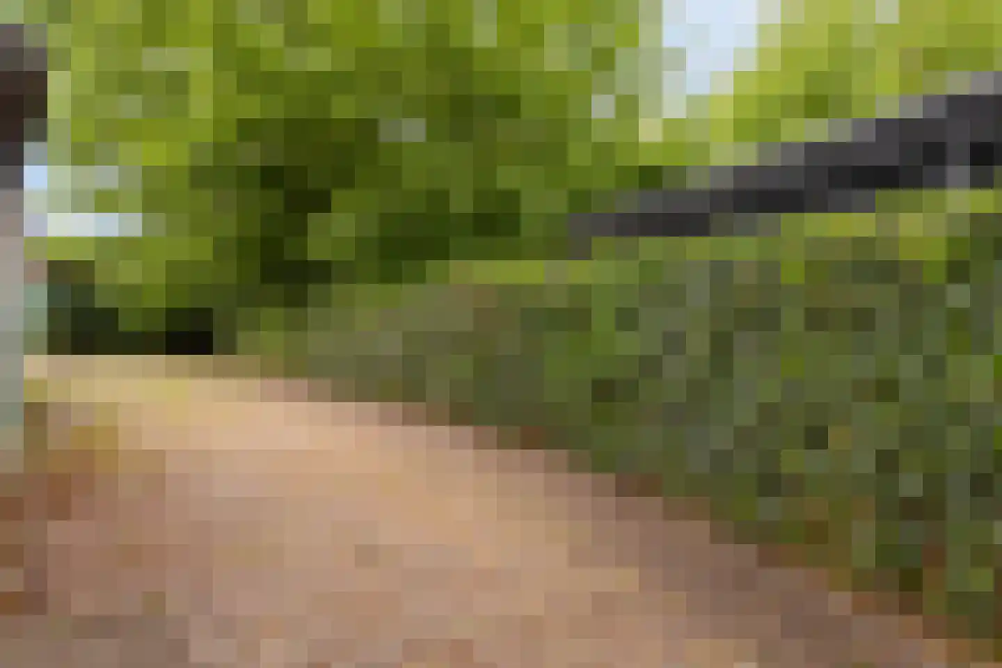 Zeildijk 2 Hulst thumbnail 33