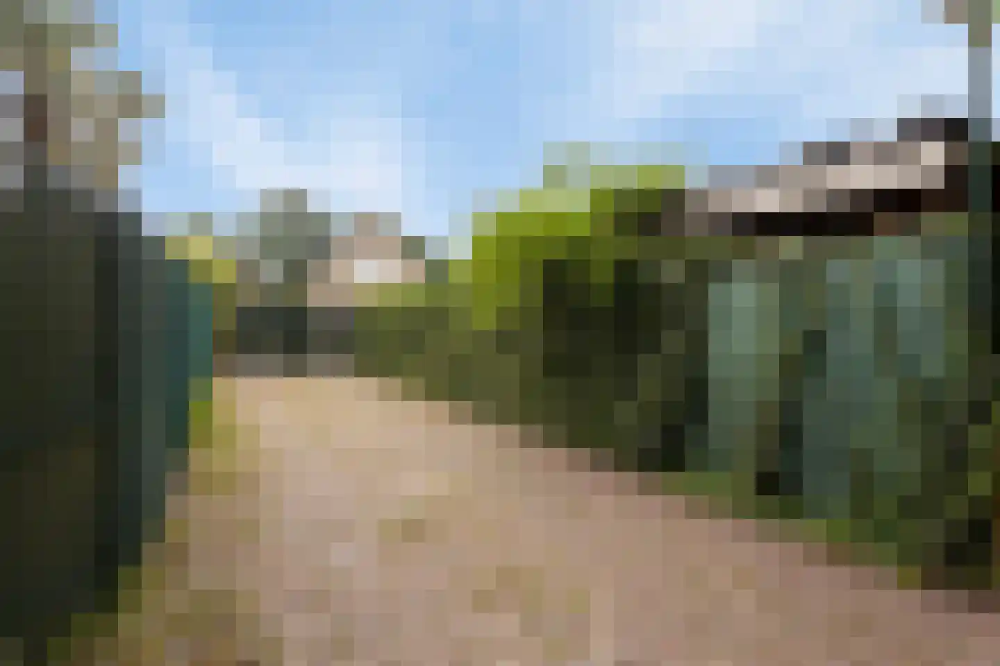 Zeildijk 2 Hulst thumbnail 34