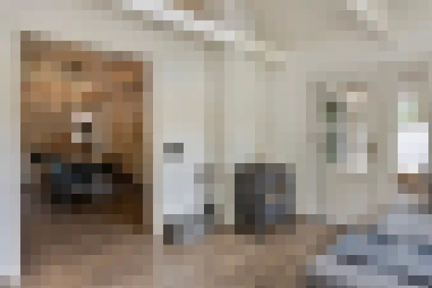 Zeildijk 2 Hulst thumbnail 8
