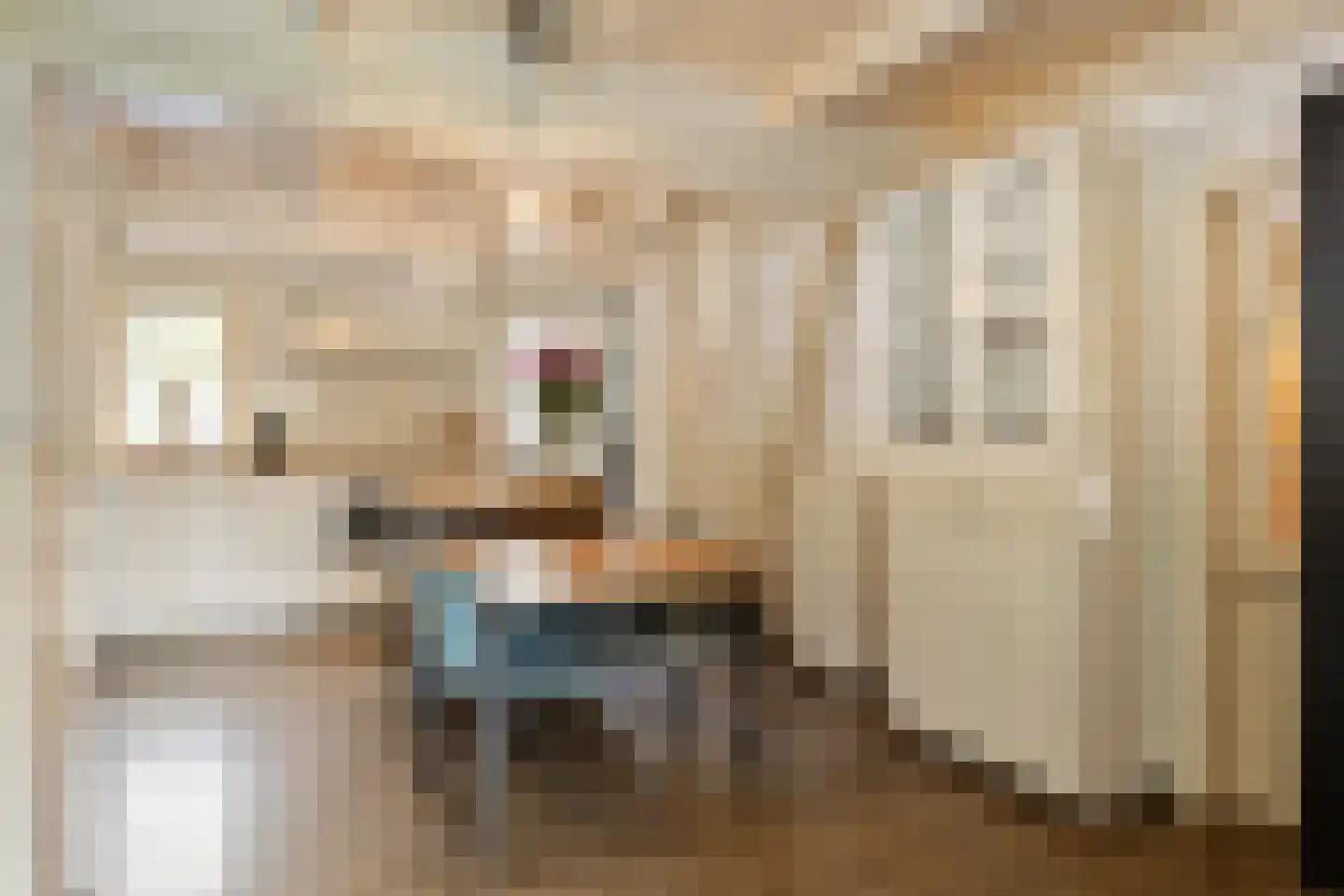 Zeildijk 2 Hulst thumbnail 9
