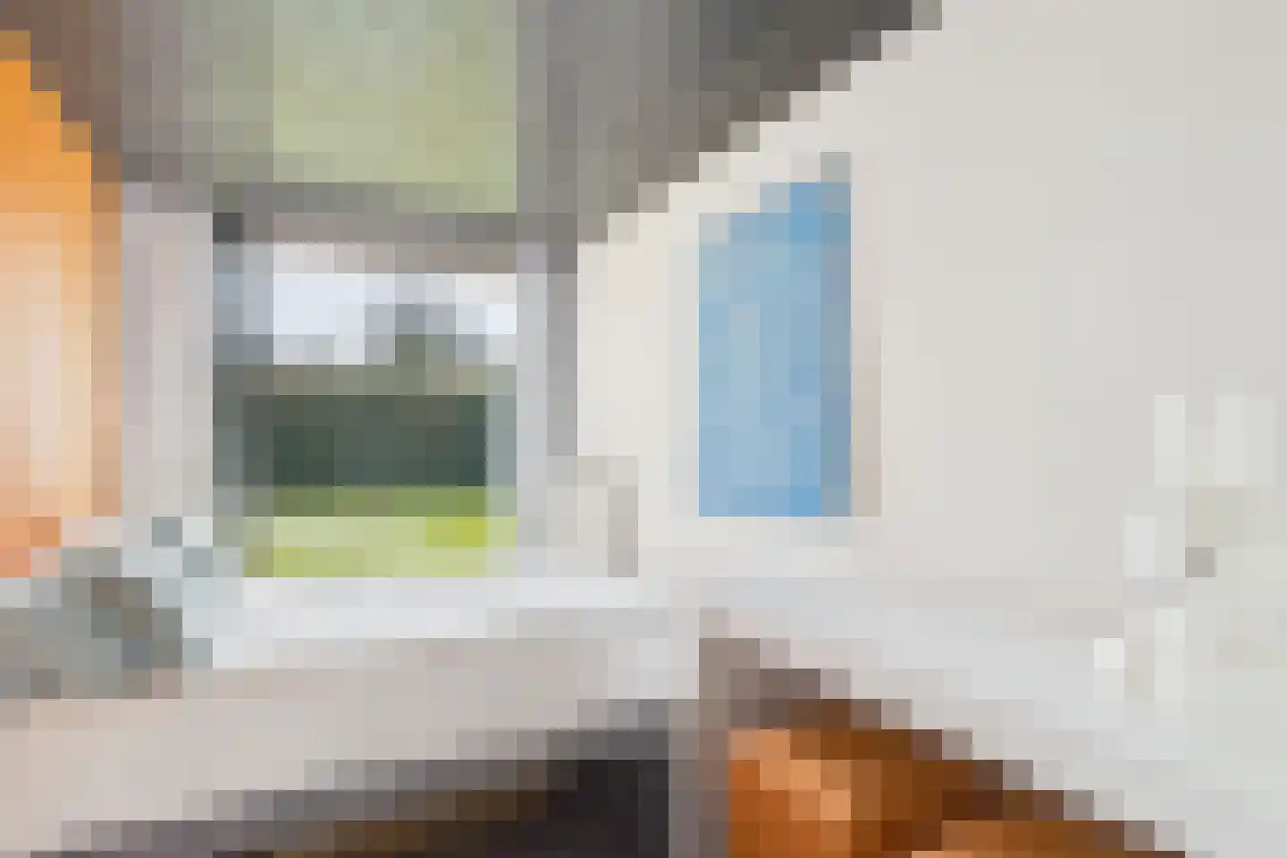 Zeildijk 35 Hulst thumbnail 17