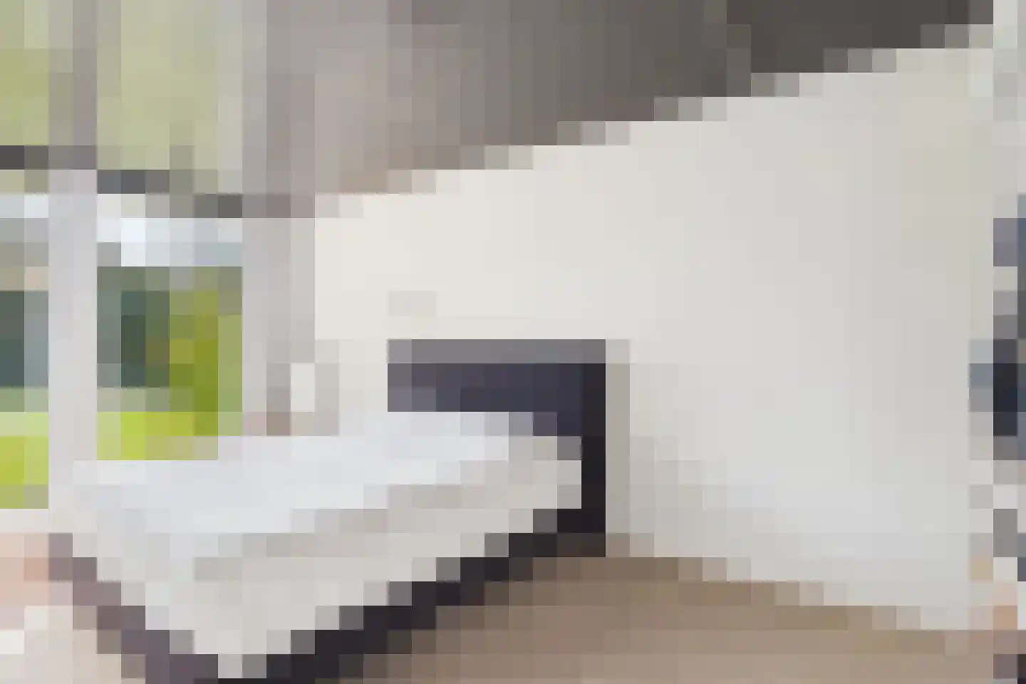 Zeildijk 35 Hulst thumbnail 18