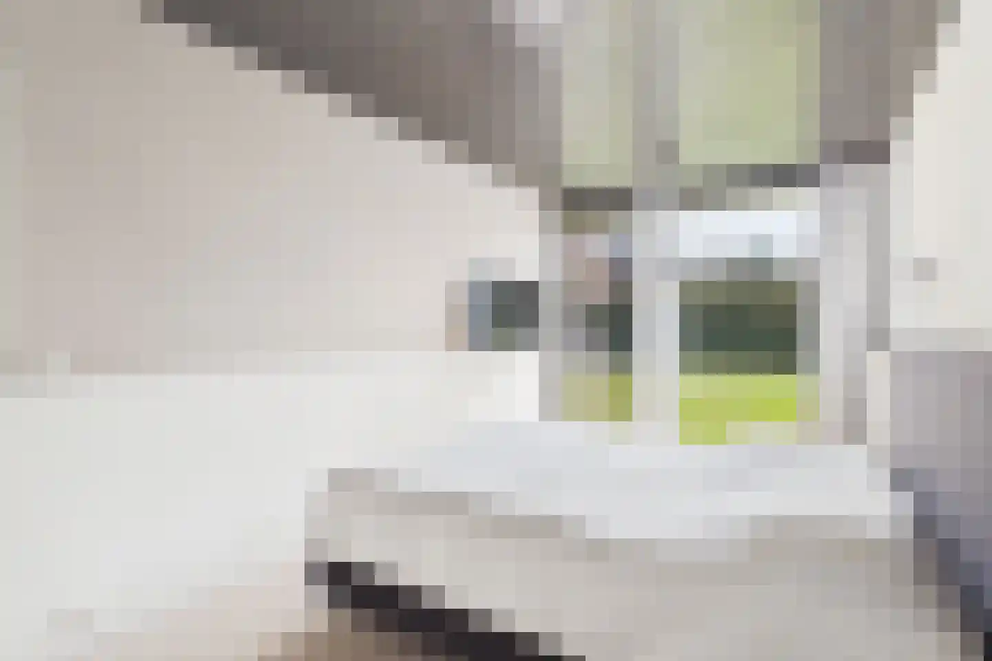 Zeildijk 35 Hulst thumbnail 19