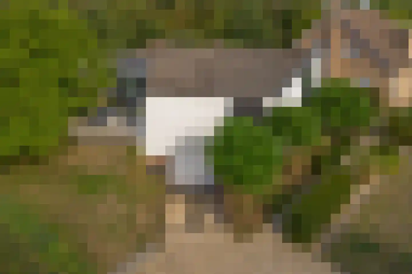 Zeildijk 35 Hulst thumbnail 20