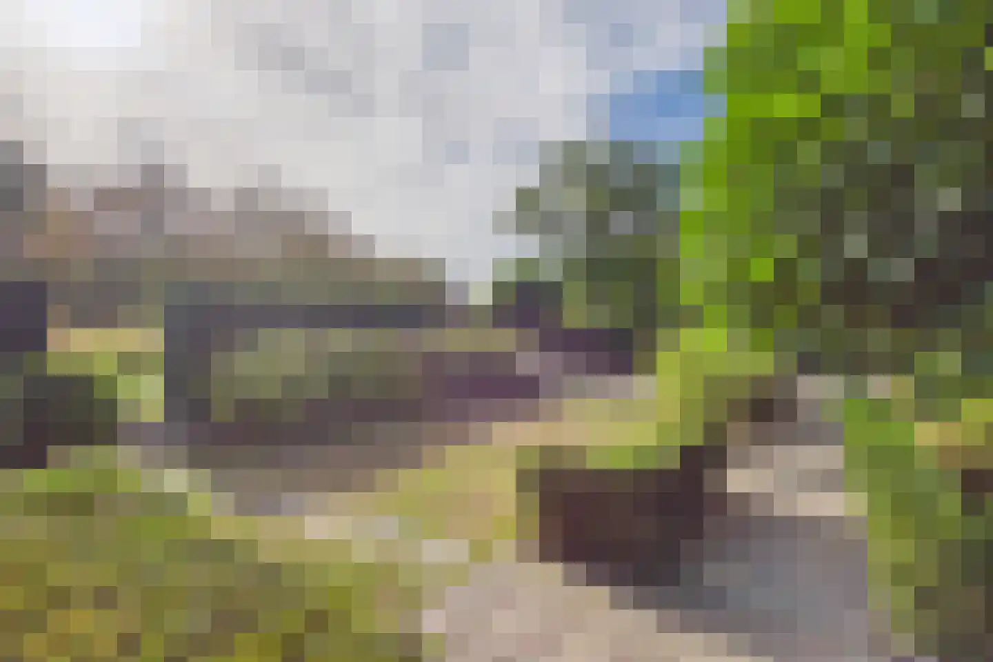 Zeildijk 35 Hulst thumbnail 26
