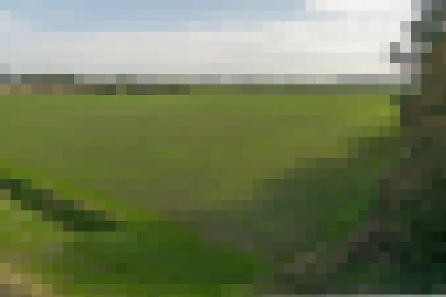 Zeildijk 35 Hulst thumbnail 29
