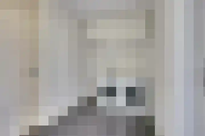 Zeilenmakersgilde 13 Dronten thumbnail 13