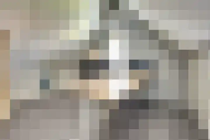 Zeilenmakersgilde 13 Dronten thumbnail 26
