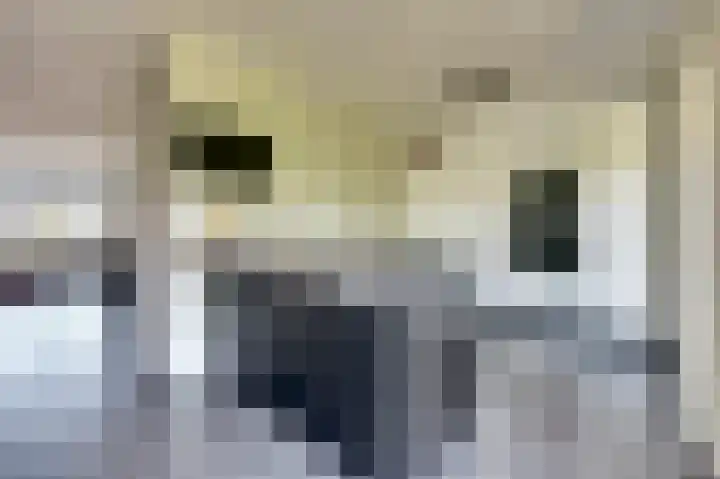 Zeilenmakersgilde 13 Dronten foto 3