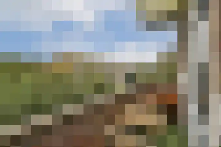 Zeilenmakersgilde 22 Dronten