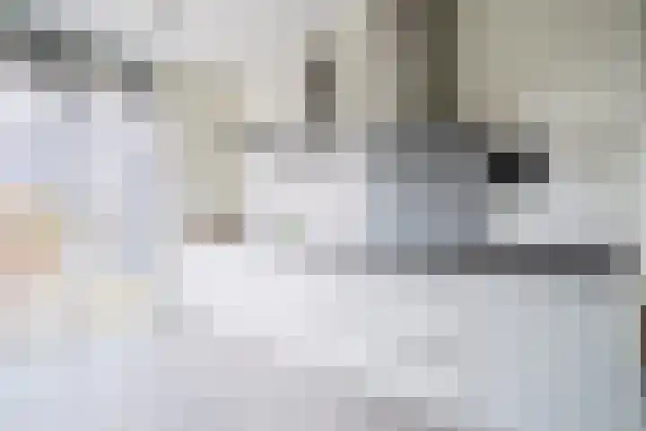 Zeilenmakersgilde 22 Dronten thumbnail 17