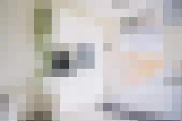 Zeilenmakersgilde 22 Dronten thumbnail 18