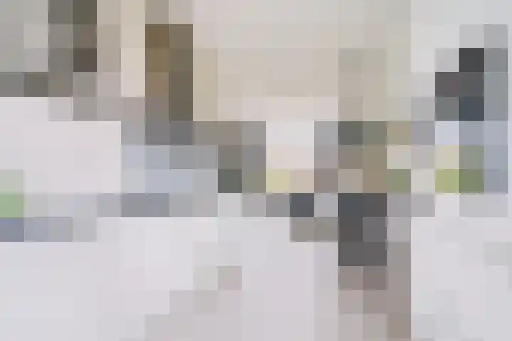 Zeilenmakersgilde 22 Dronten thumbnail 19