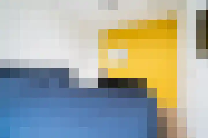 Zeilenmakersgilde 22 Dronten thumbnail 24