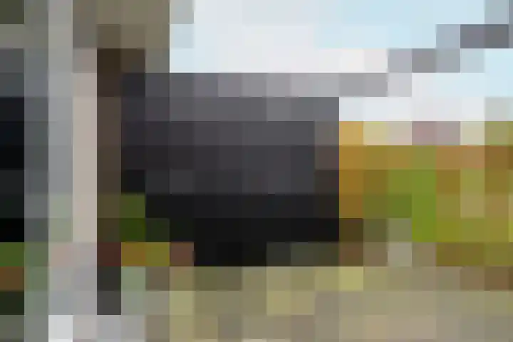 Zeilenmakersgilde 22 Dronten thumbnail 33