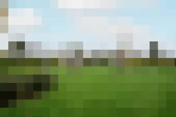 Zeilenmakersgilde 22 Dronten thumbnail 36