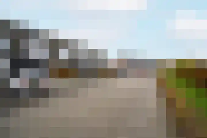 Zeilenmakersgilde 22 Dronten thumbnail 7