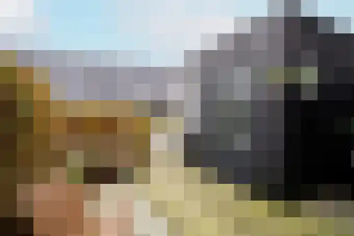 Zeilenmakersgilde 22 Dronten thumbnail 9
