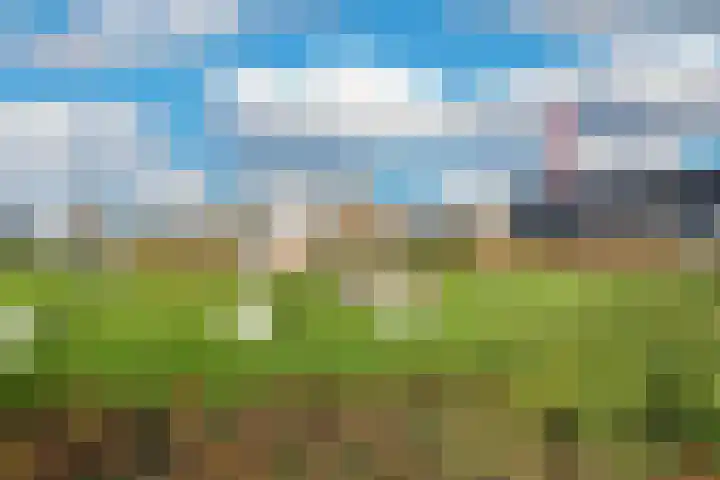 Zeilenmakersgilde 4 Dronten