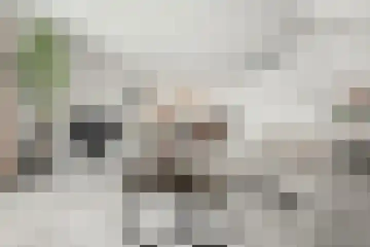 Zeilenmakersgilde 4 Dronten thumbnail 11