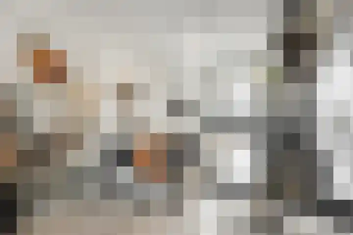 Zeilenmakersgilde 4 Dronten thumbnail 12