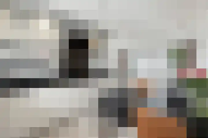 Zeilenmakersgilde 4 Dronten thumbnail 14