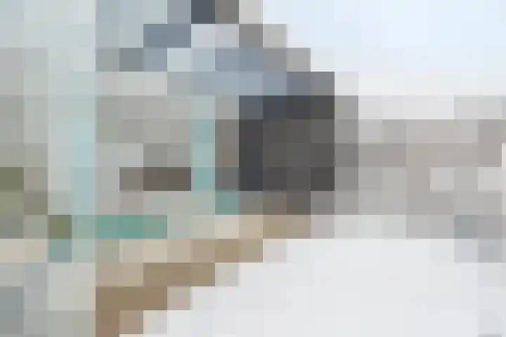 Zeilenmakersgilde 4 Dronten thumbnail 16