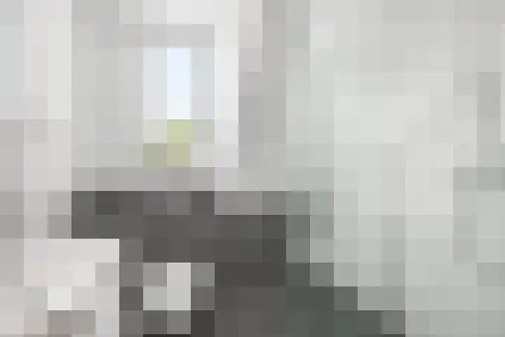 Zeilenmakersgilde 4 Dronten thumbnail 21