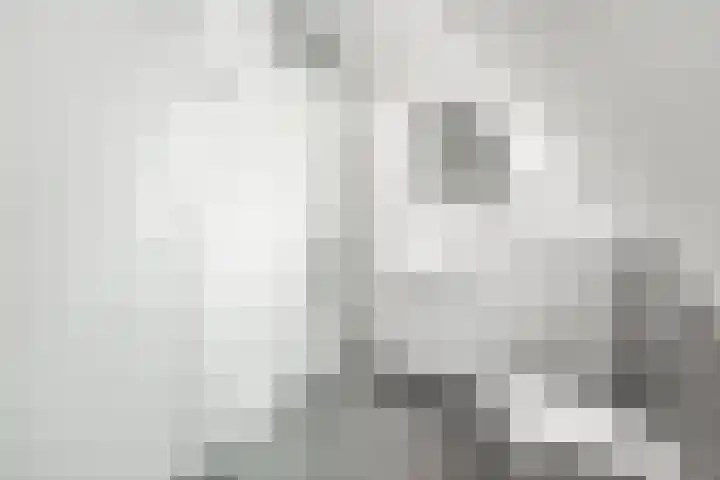 Zeilenmakersgilde 4 Dronten thumbnail 22