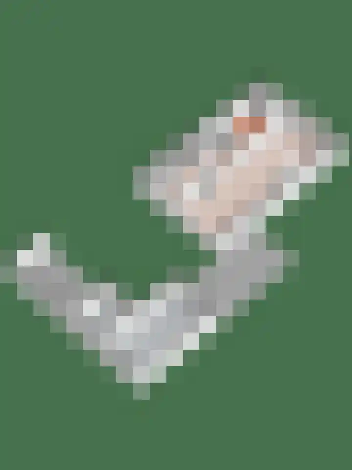 Zeilenmakersgilde 4 Dronten thumbnail 26