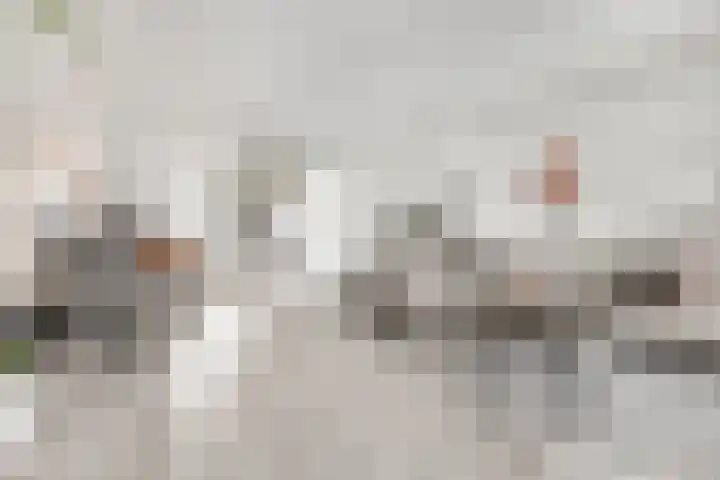 Zeilenmakersgilde 4 Dronten thumbnail 8