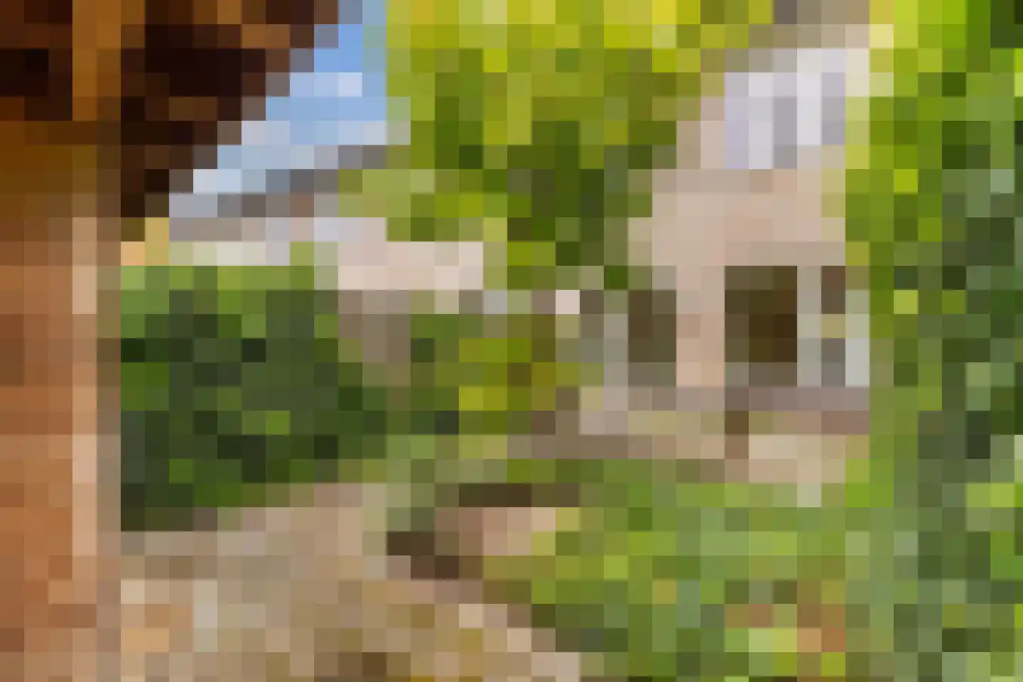 Zeilenmakersgilde 89 Dronten thumbnail 48