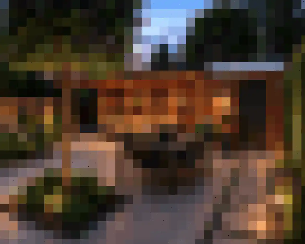 Zeilhof 25 Rijsenhout thumbnail 20
