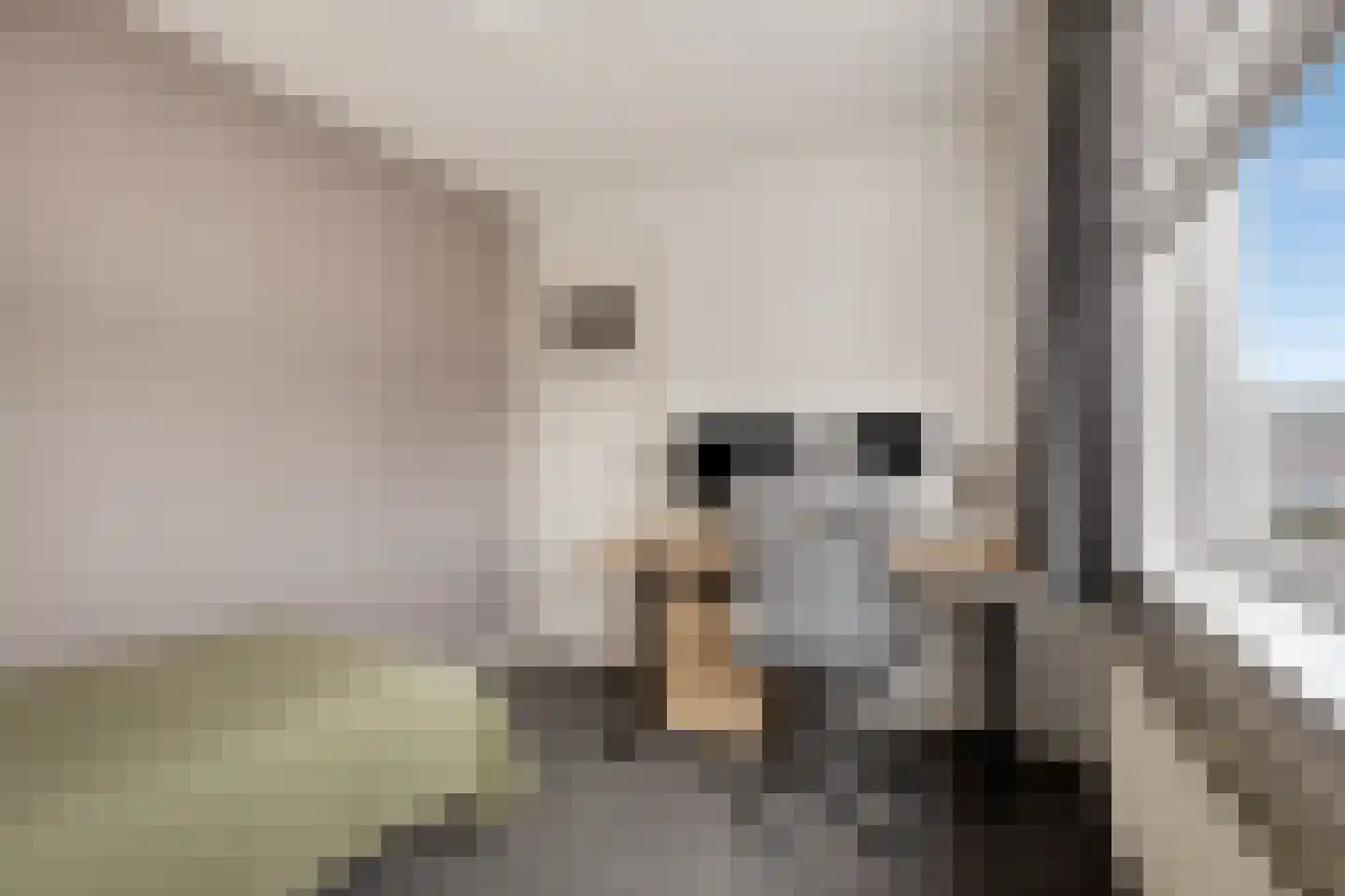 Zeilhof 25 Rijsenhout thumbnail 21