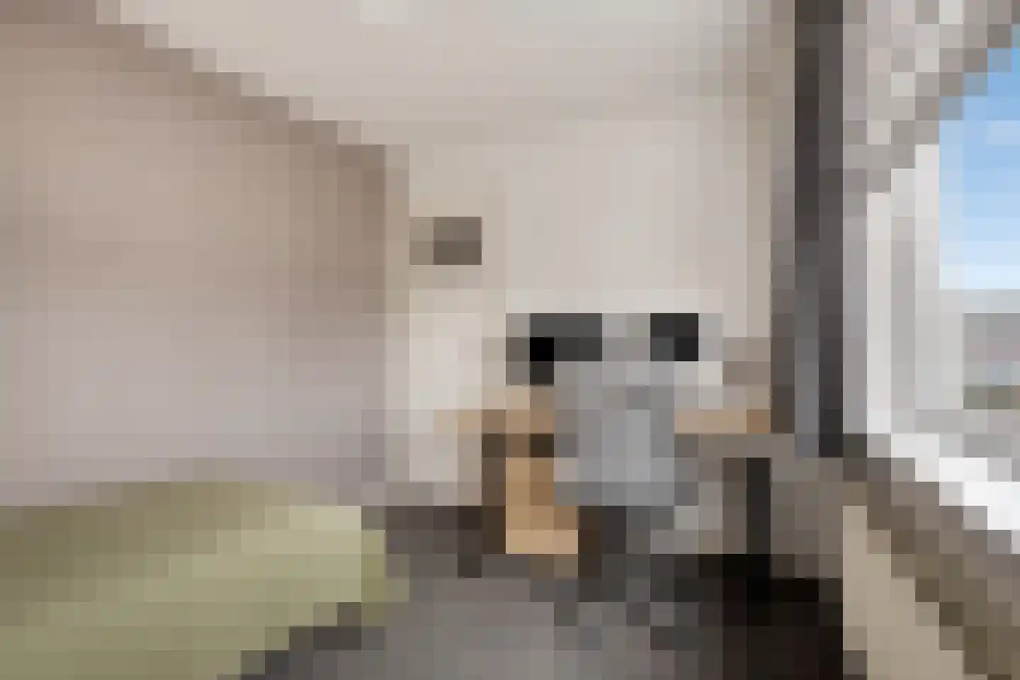 Zeilhof 25 Rijsenhout thumbnail 21