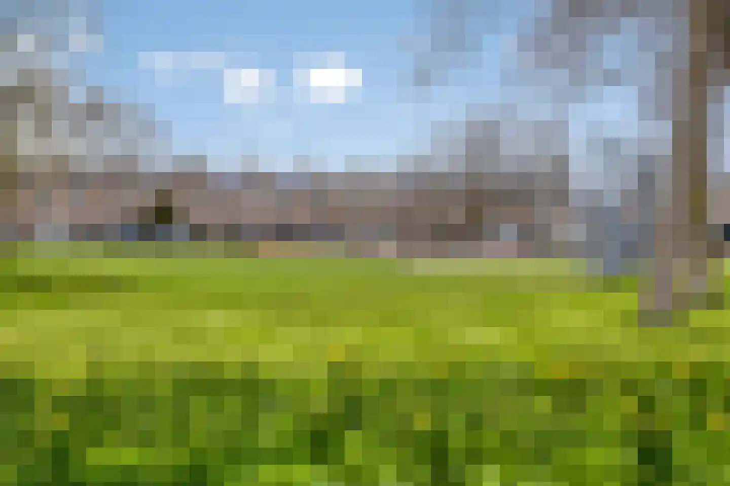 Zeilhof 25 Rijsenhout thumbnail 37