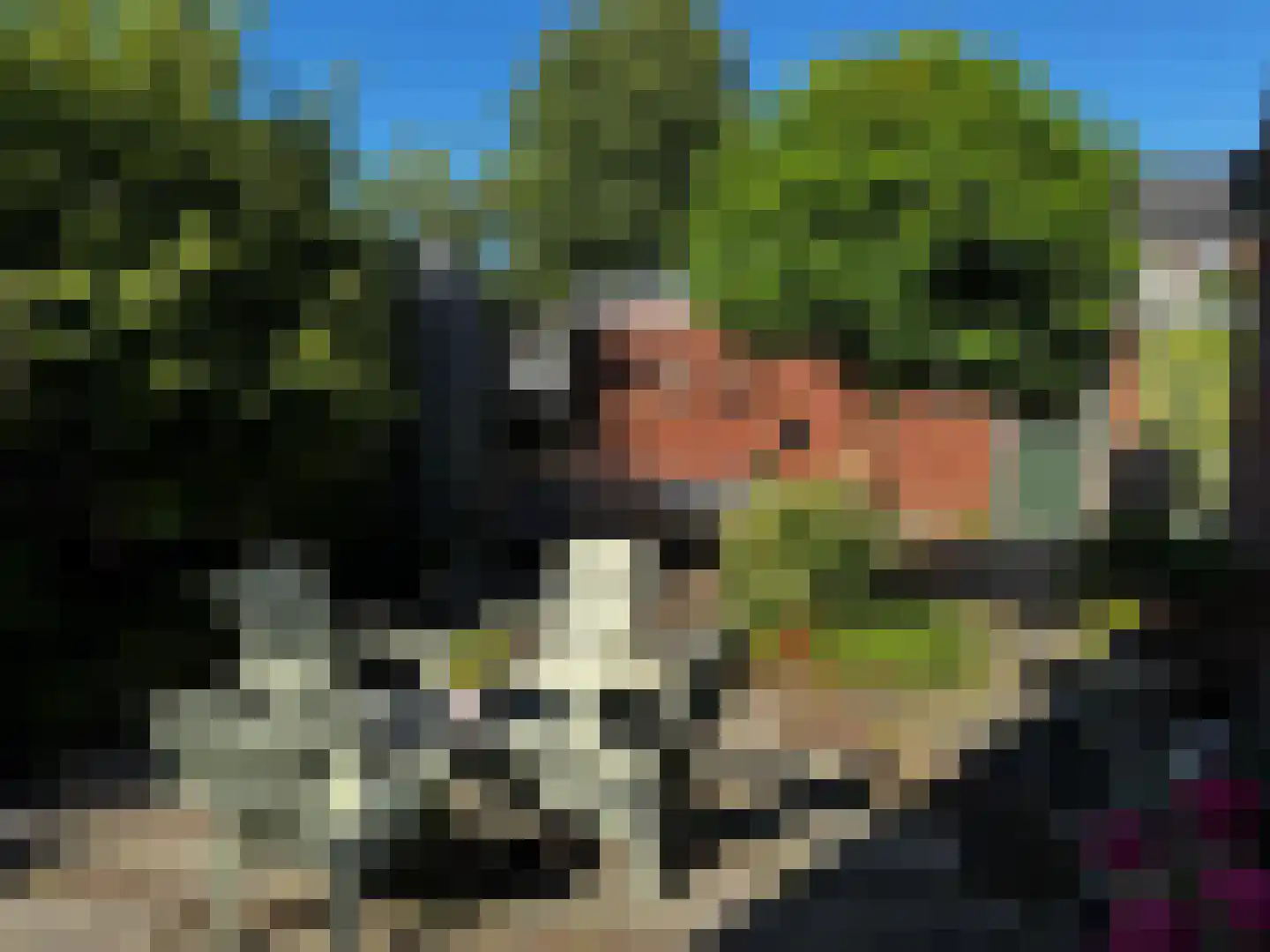 Zeilhof 25 Rijsenhout thumbnail 6