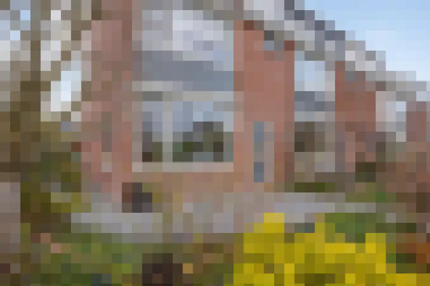 Zeilhof 25 Rijsenhout thumbnail 6