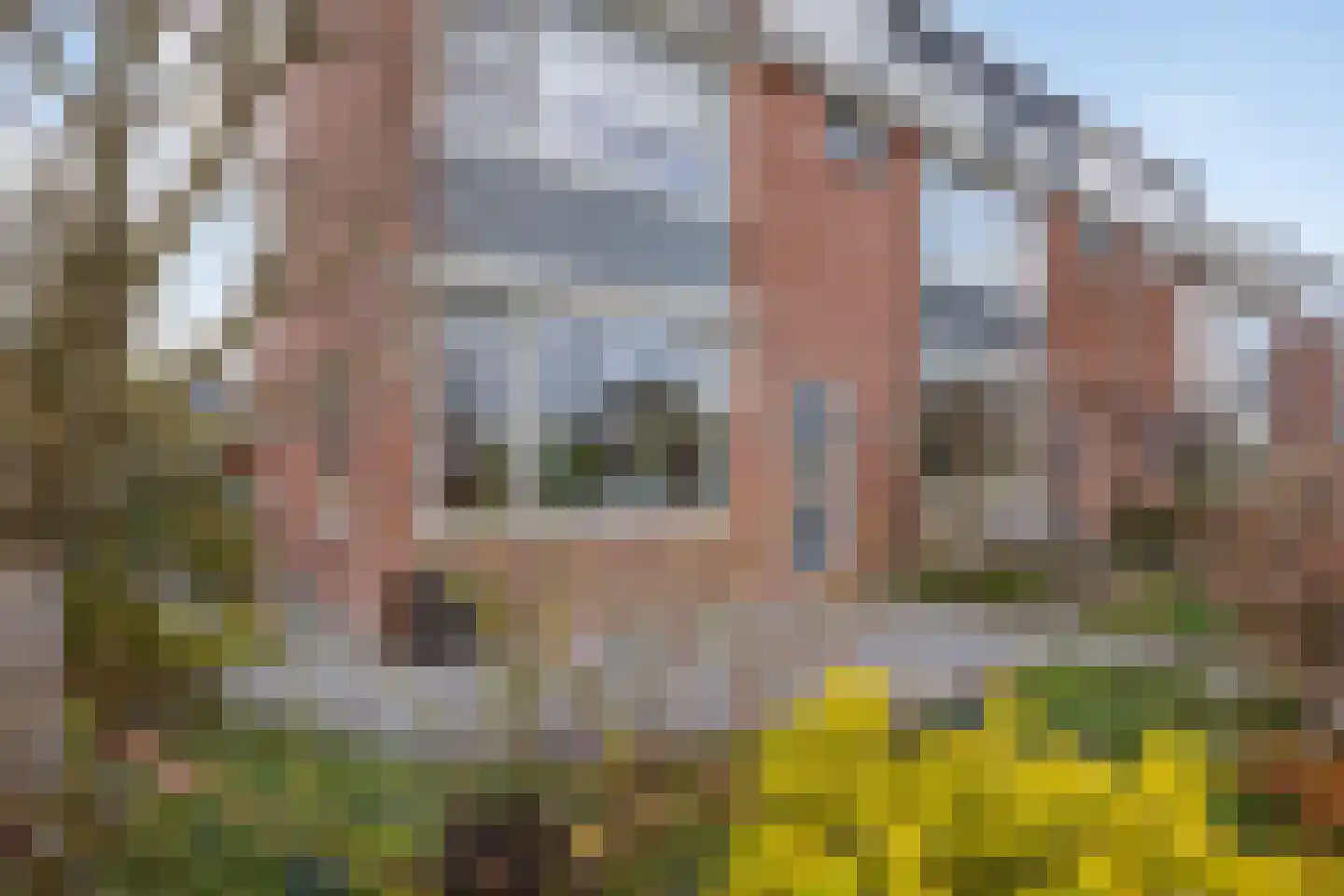 Zeilhof 25 Rijsenhout thumbnail 6