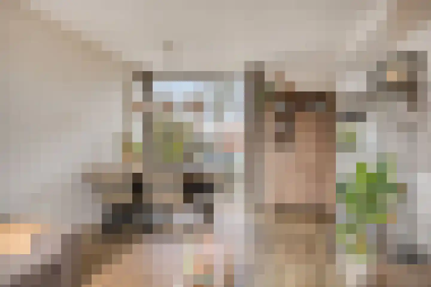 Zeilhof 25 Rijsenhout thumbnail 7
