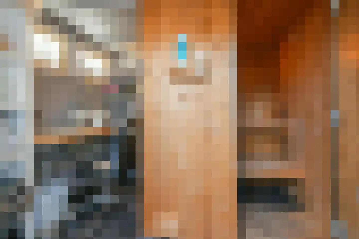 Zeilhof 30 Rijsenhout thumbnail 31