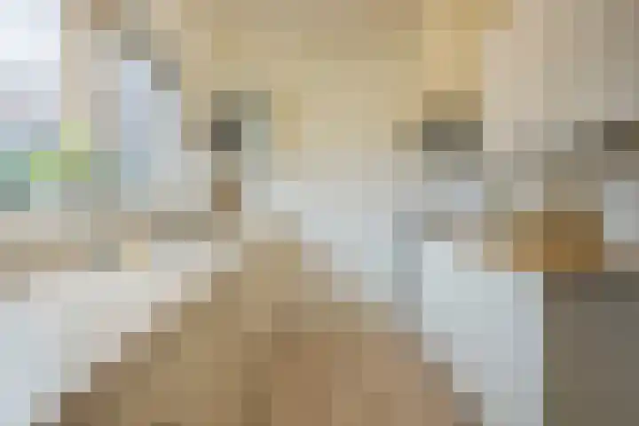 Zeilhof 4 Rijsenhout thumbnail 12