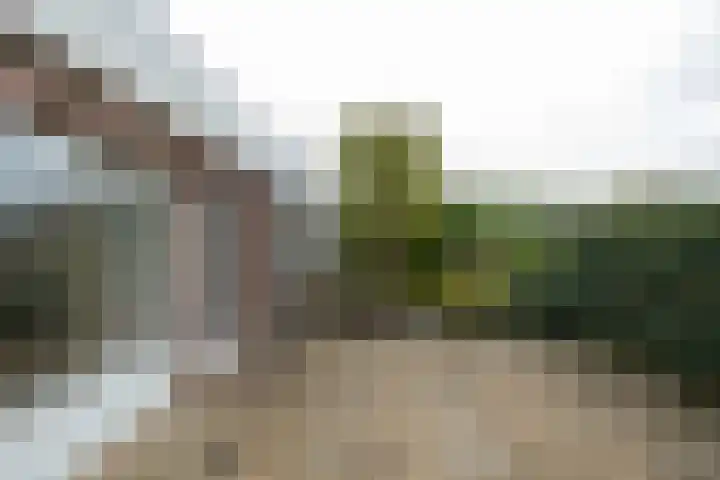 Zeilhof 4 Rijsenhout thumbnail 27