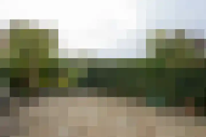 Zeilhof 4 Rijsenhout thumbnail 28