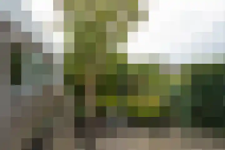 Zeilhof 4 Rijsenhout thumbnail 29
