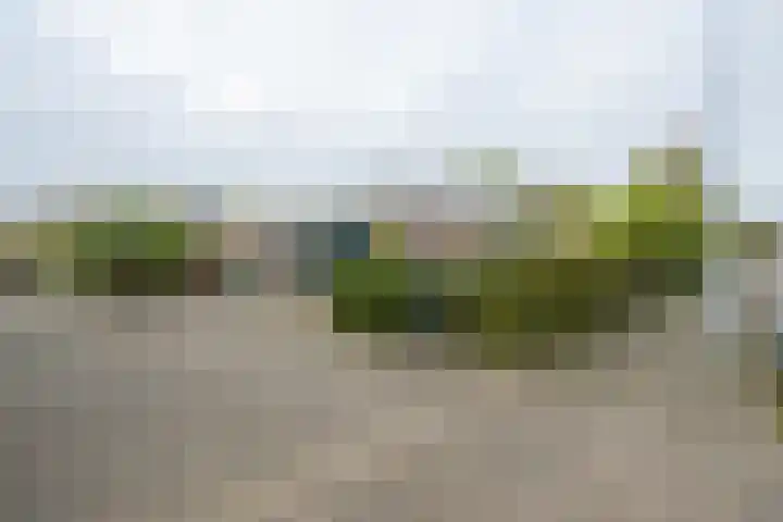 Zeilhof 4 Rijsenhout thumbnail 30